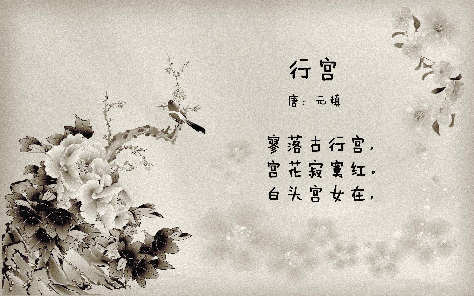 青少年篮球“未来之星”全国巡回赛火热进行中，2018年全国青少年未来之星