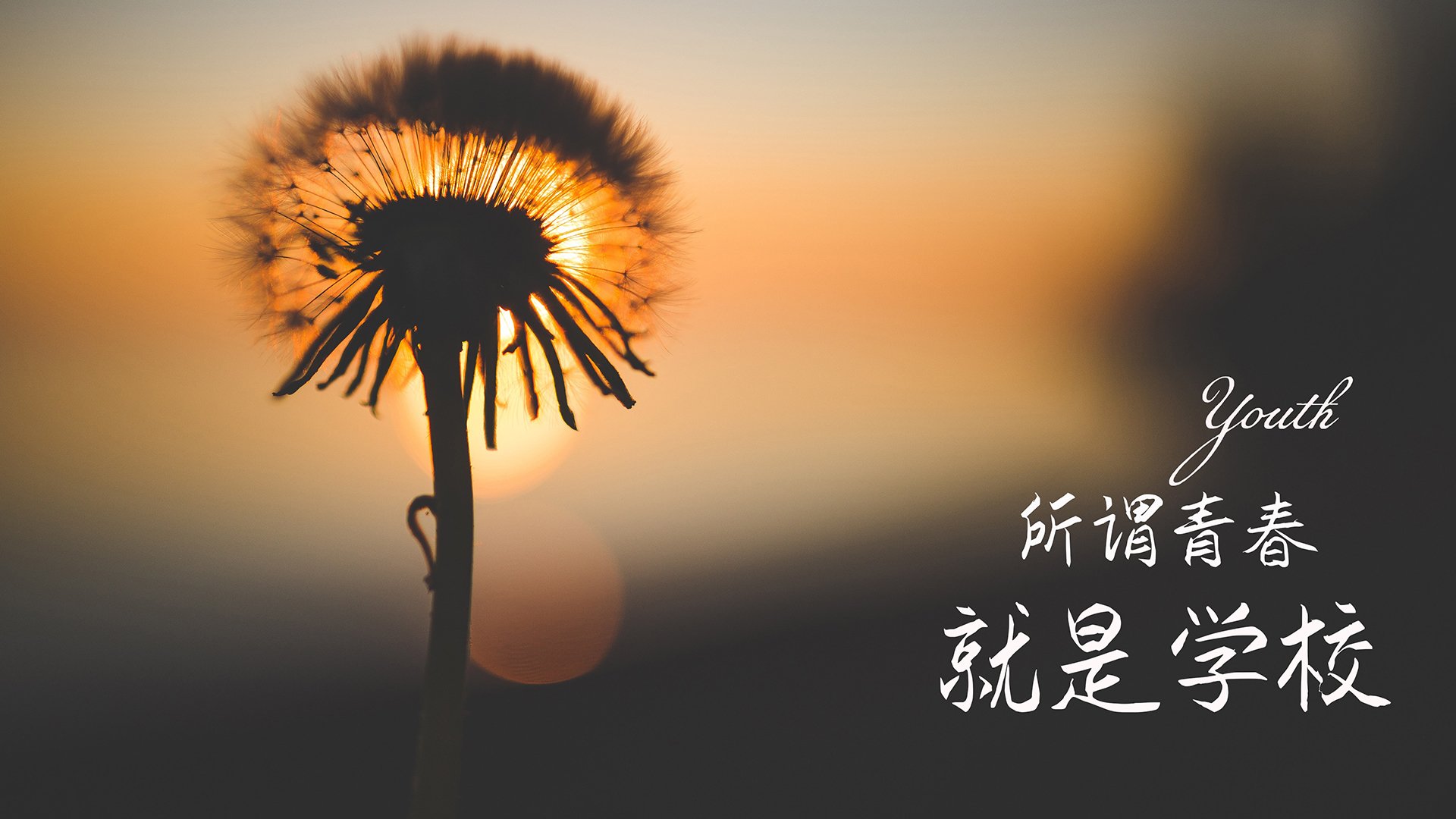 Astralis 在 PGL Major 哥本哈根 2024 的 Last Chance 阶段被 9Pandas 淘汰，哥本哈根最后几天反弹