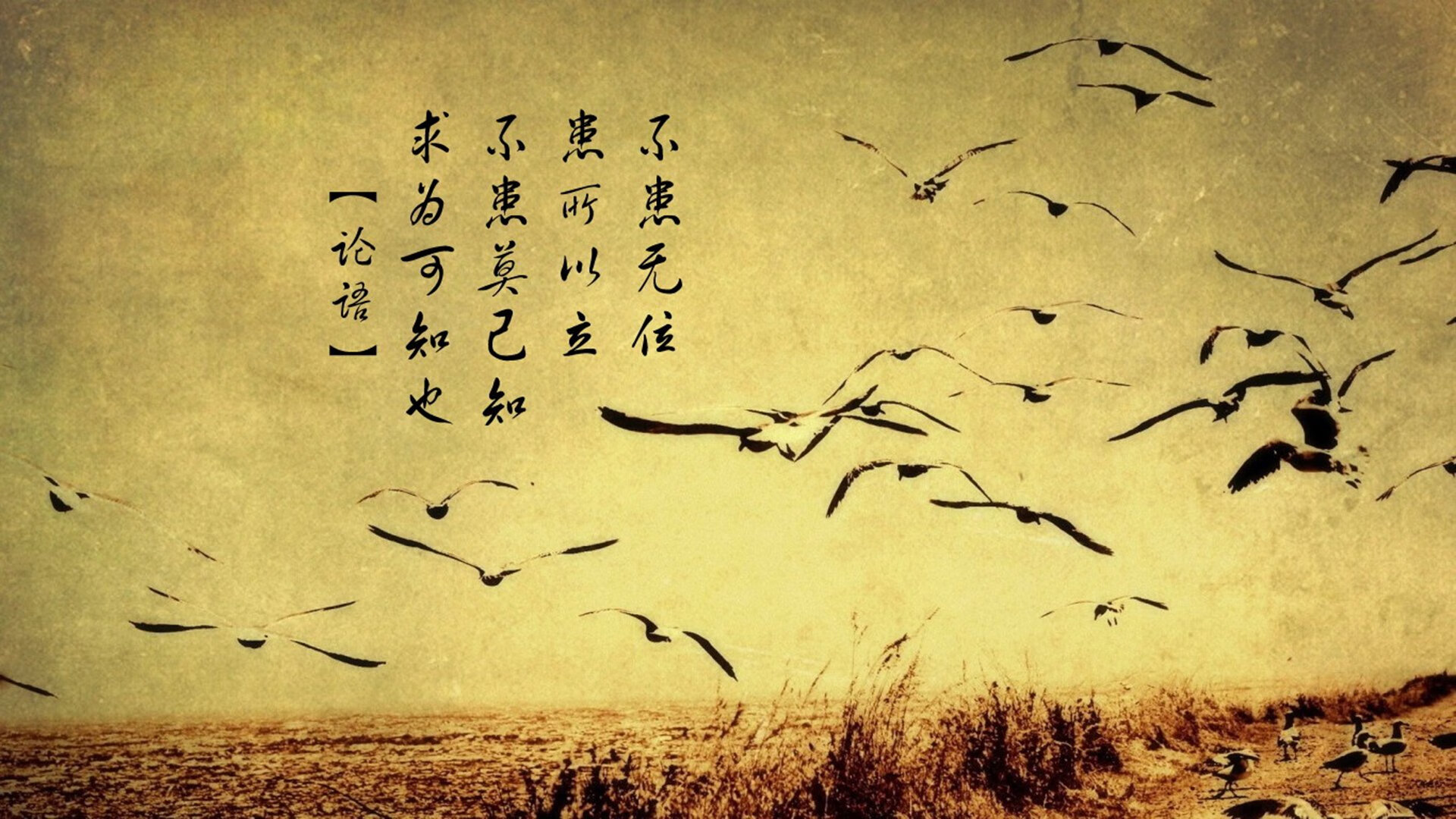 kaiyun中国官方网站-哥伦比亚队主场告负，主帅面临考验，哥伦比亚阵容名单