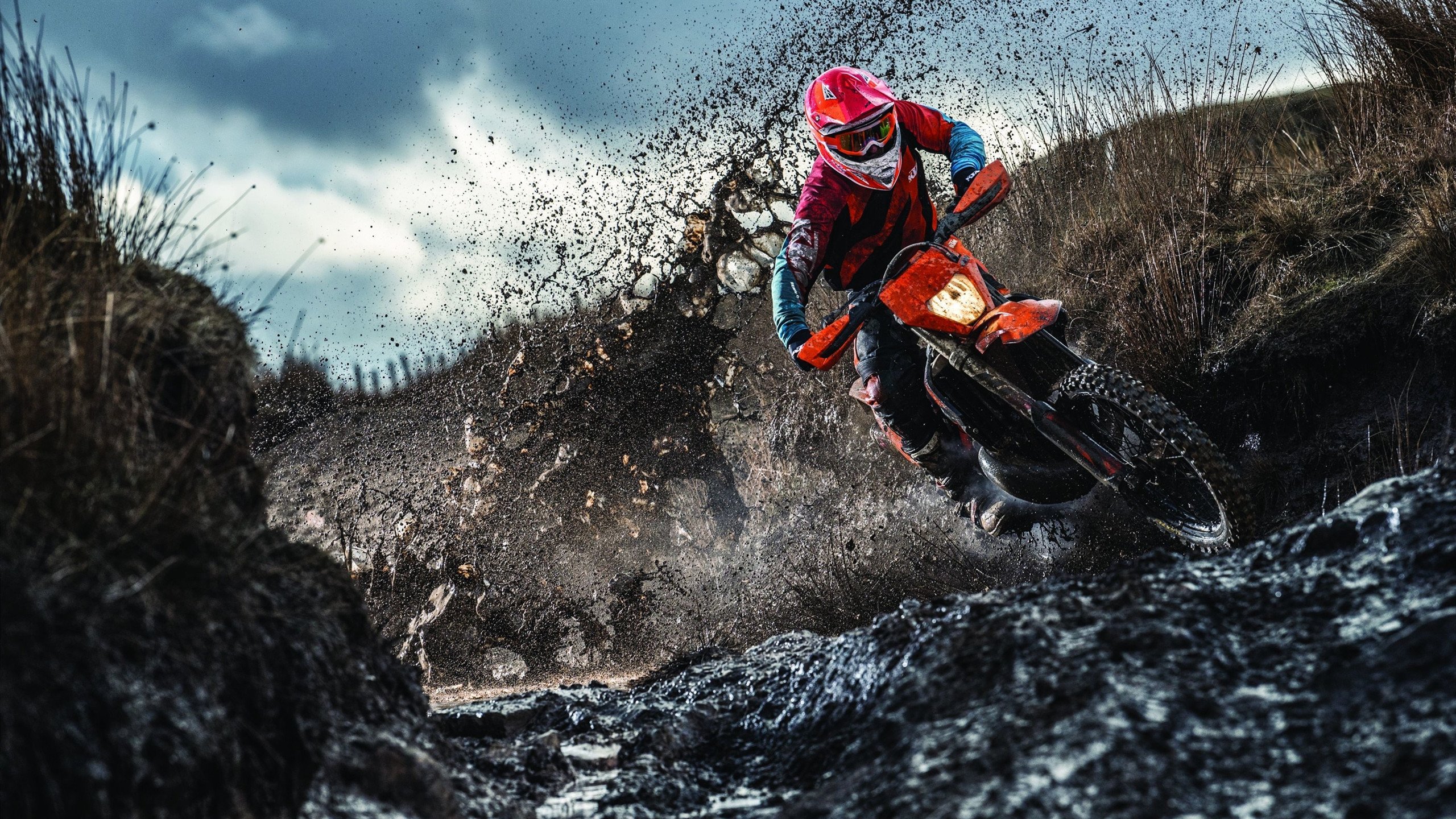 《《堡垒之夜》发布全新动画皮肤，玩家抢购一空》，堡垒之夜新动作